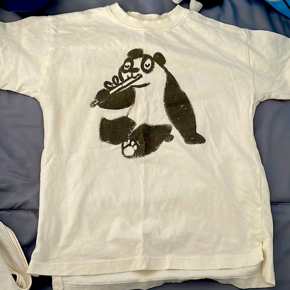 Matching set toddler boys Zara